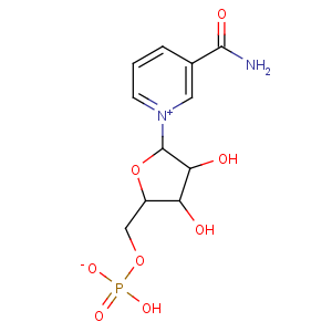 β-烟酰胺单核苷酸(NMN)|β-Nicotinamide Mononucleotide(NMN)|1094-61-7|新浦金娱乐首页